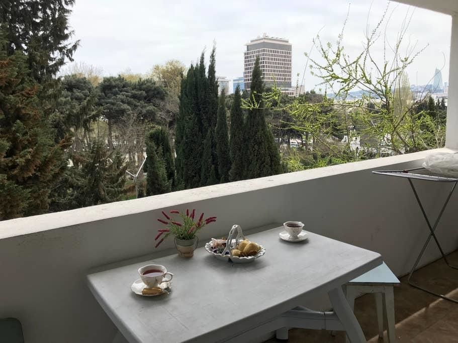 Апартаменты 28 May Central Apartment Баку-9